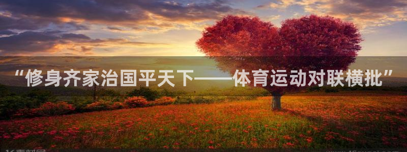 必一运动平台：“修身齐家治国平天下——体育运动对联横批”