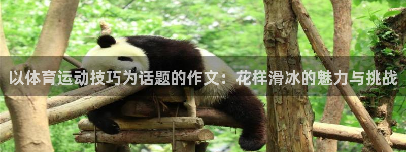 必一运动中国官方网站最新版：以体育运动技巧为话题的作文：花样滑冰的魅力与挑战