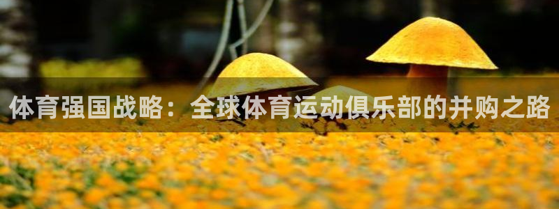 必一运动最新产品有哪些：体育强国战略：全球体育运动俱乐部的并购之路