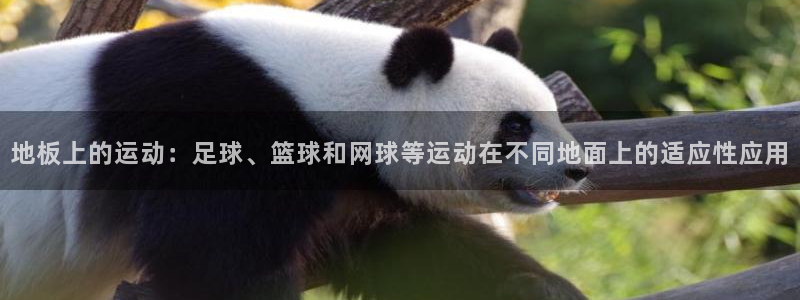必一运动bsport体育：地板上的运动：足球、篮球和网球等运动在不同地面上的适应性应用