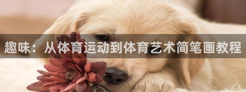 必一运动网址隐藏于：趣味：从体育运动到体育艺术简笔画教程